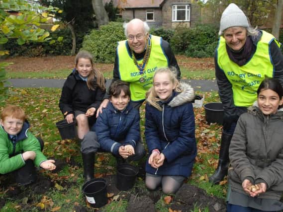 Pictured are President of The Rotary Club of Harrogate Graham Saunders and Rotarian Ann Percival helping Year 6 Pannal Primary School pupils with the planting of corms. (1710313AM1)