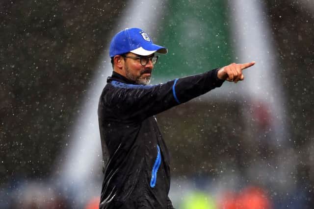 HONEST: Huddersfield Town manager David Wagner. Picture: Nigel French/PA