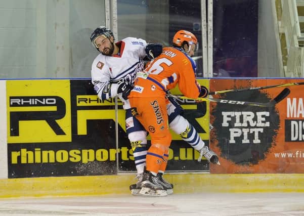 Levi Nelson
 makes a hit along the boards when Sheffield Steelers last met Dundee Stars at Ice Sheffield in September. Picture: Dean Woolley