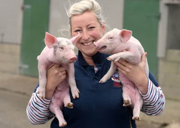 Angela Kirkwood with some of her piglets. Pictures by Bruce Rollinson.