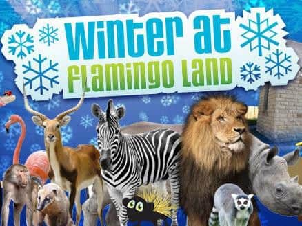 Flamingo Land annual passes include unlimited entry to the daily Winter Zoo as well as main season