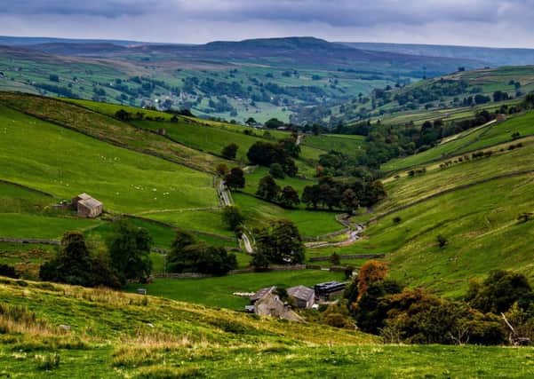 Picture James Hardisty. Swaledale, in the heart of the Yorkshire Dales.
