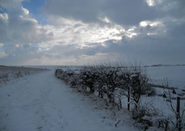 Snow in Scarborough. Picture by Humble Bee Farm/@humblebeefarm.