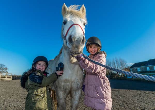 Pictured (left to right) Alexis Webster, 5, and Sophie Thorpe, 8, grooming one of the centre's ponies called Blackjack.