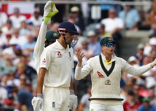 Australia's Steve Smith and Tim Paine appeal for the wicket of England's Alastair Cook at the Adelaide Oval. Picture: Jason O'Brien/PA.