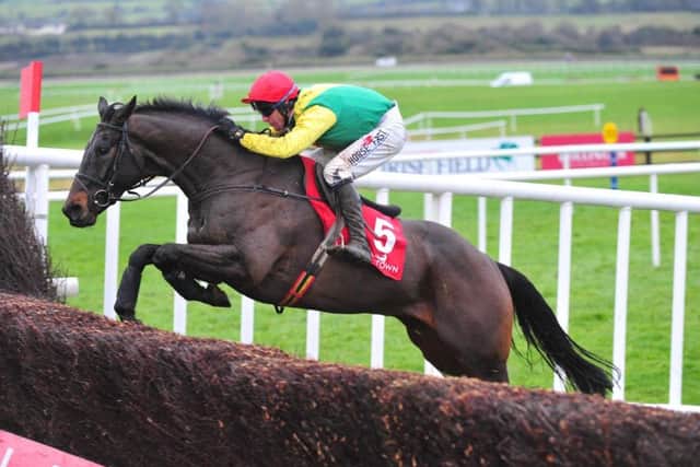 Sizing John ridden by Robert Power jumps the last to win the John Durkan Memorial Punchestown Chase at Punchestown Racecourse (Pictures: PA Wire)