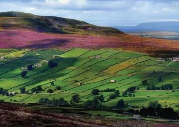 The Yorkshire Dales National Park.