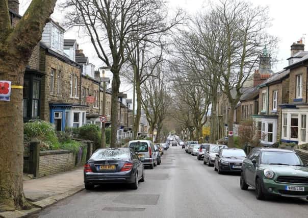 The decision to fell the war memorial trees on Sheffield's western Road has provoked anger.