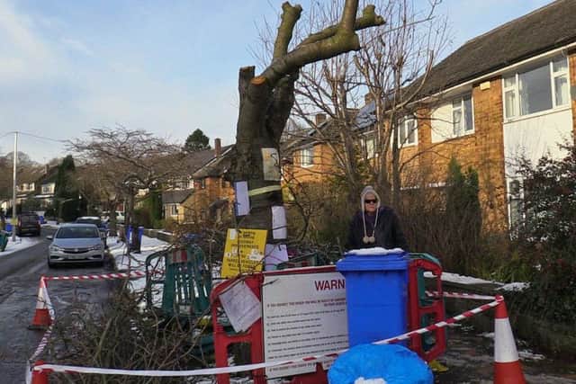 Credit: Dave Higgens/PA Wire.  Pamela Hanrahan by a tree which was cut down in Abbeydale Park Rise, in Dore, Sheffield, as part of the local council's controversial felling programme on December 12.