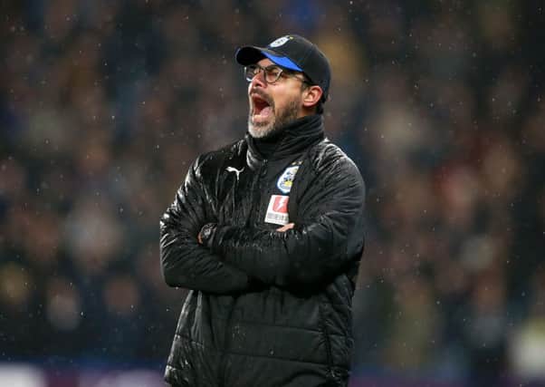 Huddersfield Town's manager David Wagner.