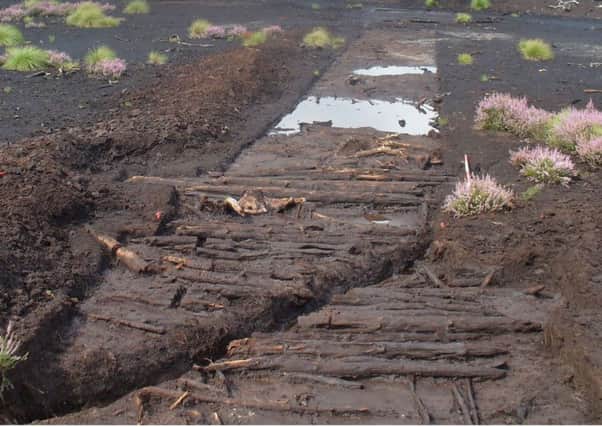 The ancient trackway found at Lindholme, Hatfield, Doncaster, South Yorkshire