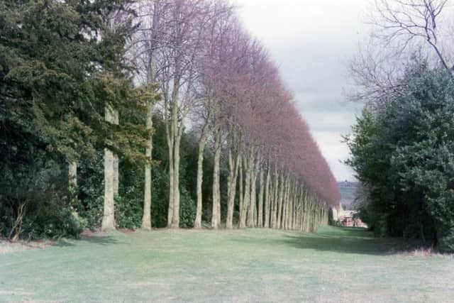 Wentworth Castle Gardens, Stainborough near Barnsley
5th May 1996