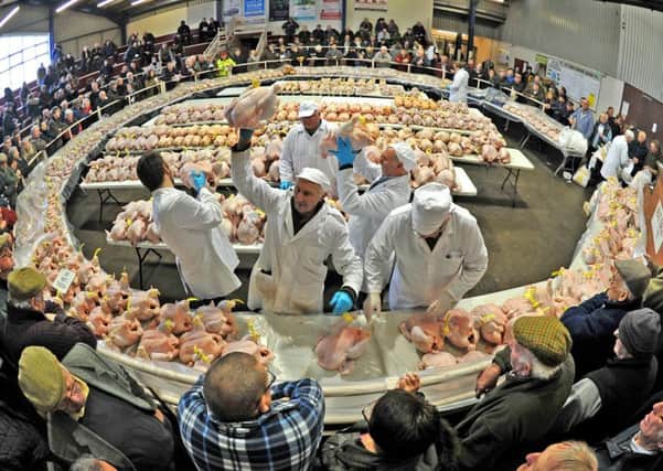 The Christmas poultry sale at York Auction Centre. Pictures by Tony Johnson.