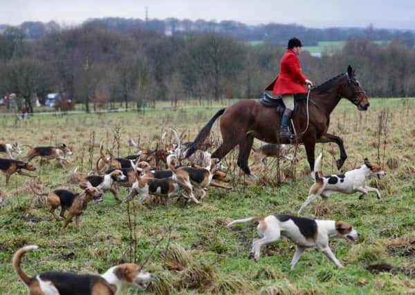 Is hunting with hounds the most humane way of controlling the fox population?