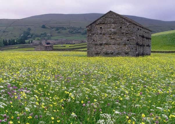 Picture courtesy of the Yorkshire Dales Millennium Trust.