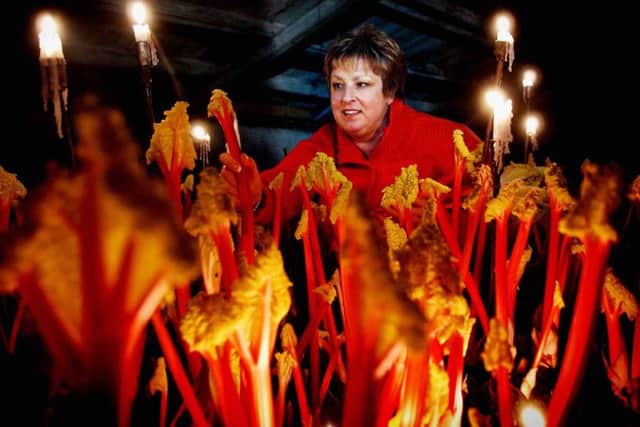 Janet Oldroyd Hulme, director of E Oldroyd and Sons, pictured in a forcing shed.