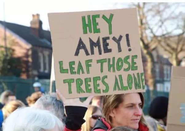 Protests have been taking places in Sheffield against the council and Amey's tree-felling policy.