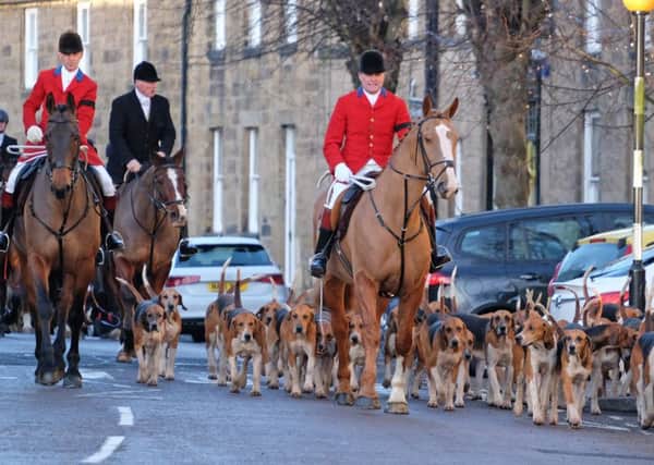 Should there be an outright ban on fox hunting?