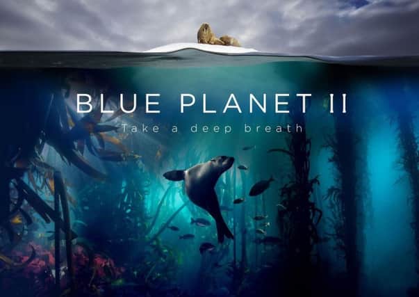 The Blue Planet II series is changing attitudes towards the environment.