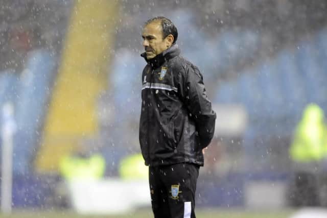 Owls new manager Jos Luhukay in his first home game during a snow storm (Picture: Steve Ellis)