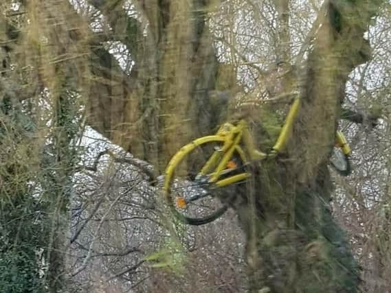 Bikes abandoned in Sheffield