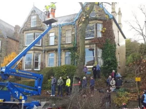 There have been repeated protests at tree-felling work in Sheffield.
