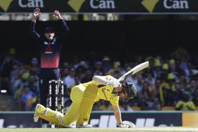 Australia's Travis Head falls down after being struck by the ball (AP Photo/Tertius Pickard)