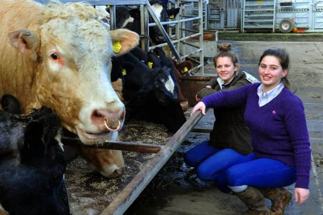 Lucy Wardell, 18, and Ellen Wardell, 20, with some of their cattle.