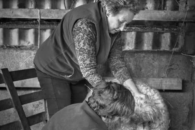 Lucy Saggers Joyce and Louise Wood lambing 2017