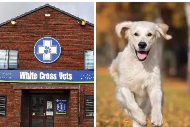 Another case of Alabama Rot has been discovered in Yorkshire.