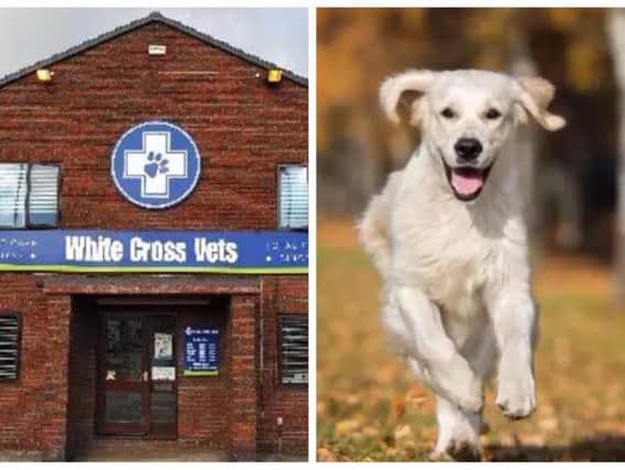 Another case of Alabama Rot has been discovered in Yorkshire.