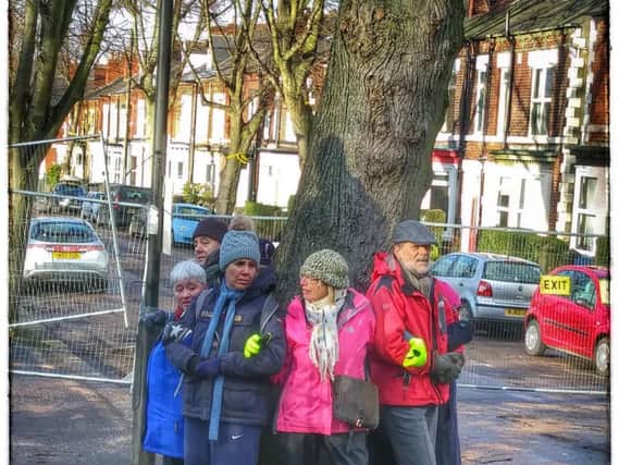 Demonstrators surrounded a threatened tree on Meersbrook Park Road. Pic: Luis Arroyo