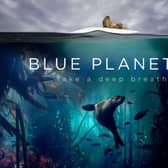 The TV series Blue Planet II exposed the fragility of the marine environment, and the harmful use of plastics.