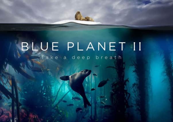 The TV series Blue Planet II exposed the fragility of the marine environment, and the harmful use of plastics.