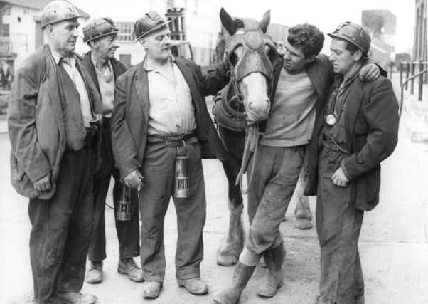 Miners awith "Monarch", one of the  favourite pit ponies in 1963. at Woolley.