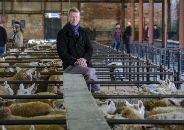 Roger Young, Agroisolab Uks CEO, at a livestock sale at Malton Market. (Picture: Tony Bartholomew/Turnstone Media).