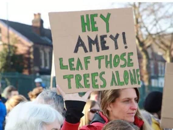 Protests against tree-felling in Sheffield have been taking place for more than two years.
