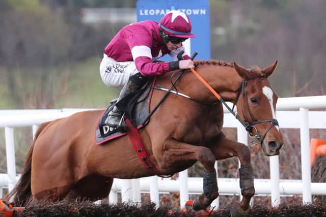 Top novice hurdler sacro and jockey Jack Kennedy clear the last to win at Leopardstown.