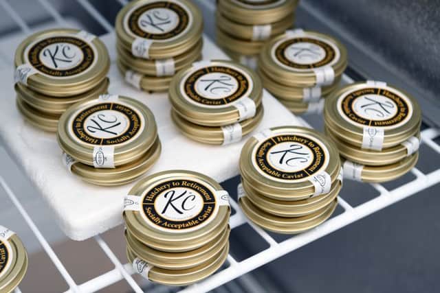 Tins of ethical and sustainable KC Caviar.
