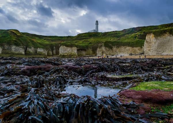 A sea-watching hide is to be built 15m from the cliffedge at Flamborough Head
