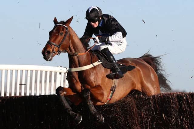 Harry Bannister and Cheltenham Festival prospect Bigmartre in winning action at Newbury.