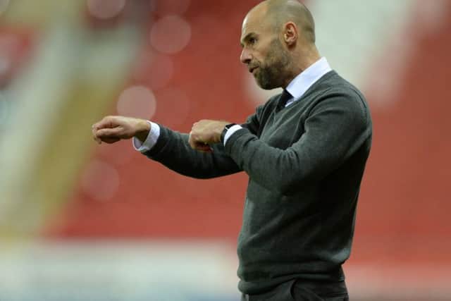 Top dogs: Paul Warne's 
Rotherham United