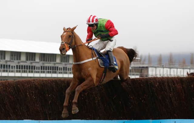 Defiintly red and Danny Cook clear the last before winning the Cotswold Chase at Cheltenham.