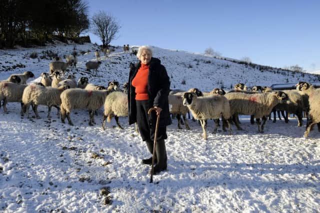 Gunnerside farmer Annie Porter's hardship epitomises the struggles facing farmers in the Yorkshire Dales.