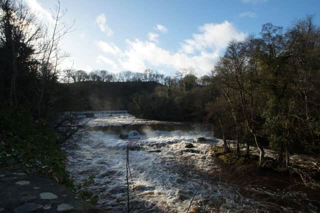 The view from the toilet block overlooking an island in the centre of the River Ure at Aysgarth Falls.