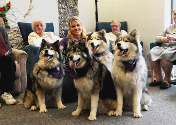 Claire Day with specially trained 'dementia dogs' at Barnsley Day Centre's dementia group.Picture Scott Merrylees