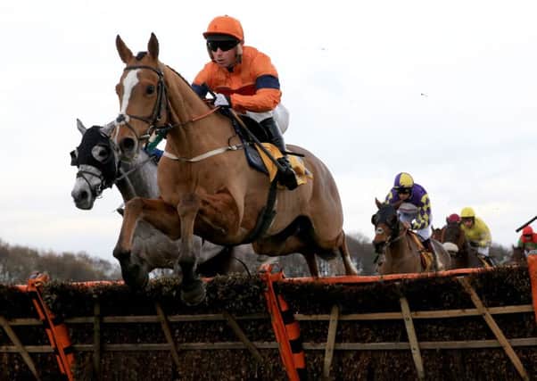 Sam Spinner, the mount of Joe Colliver, continued his Cheltenham preparations with a racecourse gallop at Newcastle.