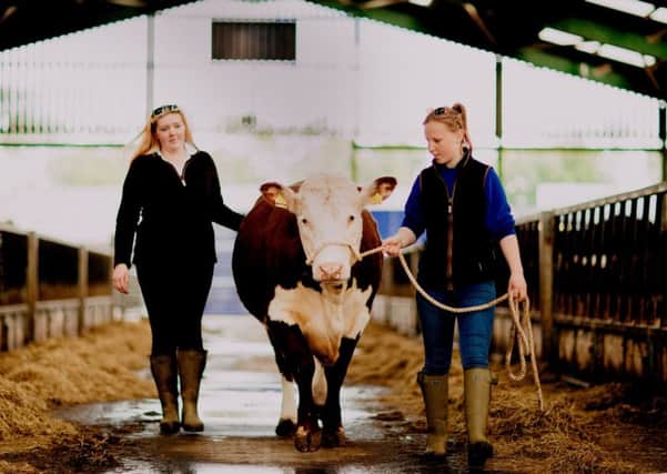 The pedigree Hereford breeding programme gives  Bishop Burton College students first-hand experience of rearing a range of breeds