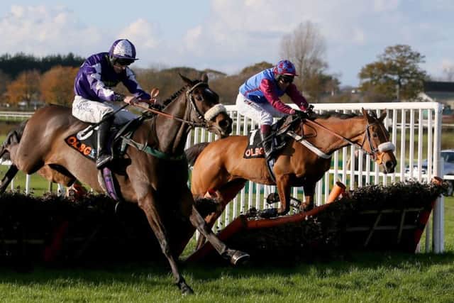 Phil Kirby's Lady Buttons, nearside, could head back to Ireland following her chase success at Newcastle on Saturday.