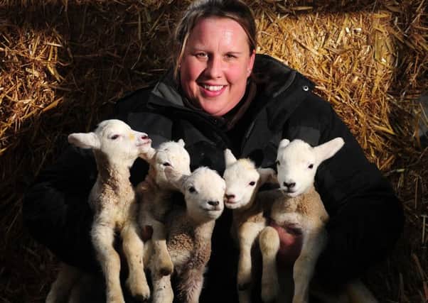 Hannah Dean pictured with the five lambs born at Hilltop Farm, Acaster